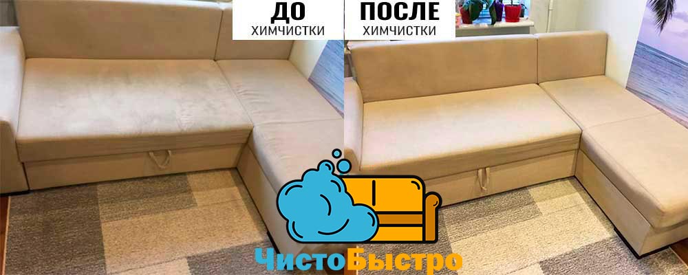 Химчистка и удаление запахов кошачьей мочи с дивана в Омск и Лен области